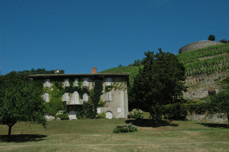 Rhone Valley 1