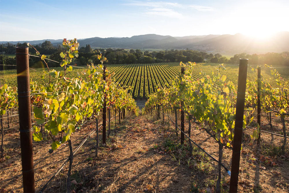 Robert Mondavi