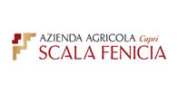 Scala Fenicia
