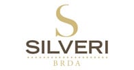 Silveri logo