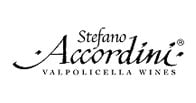Stefano Accordini