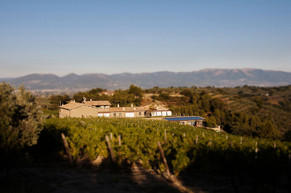 Tenuta Bellafonte