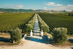 Tenuta Bocca di Lupo