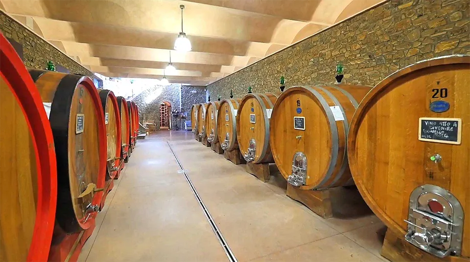 Tenuta Croce di Mezzo