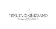 Tenuta Ghizzano