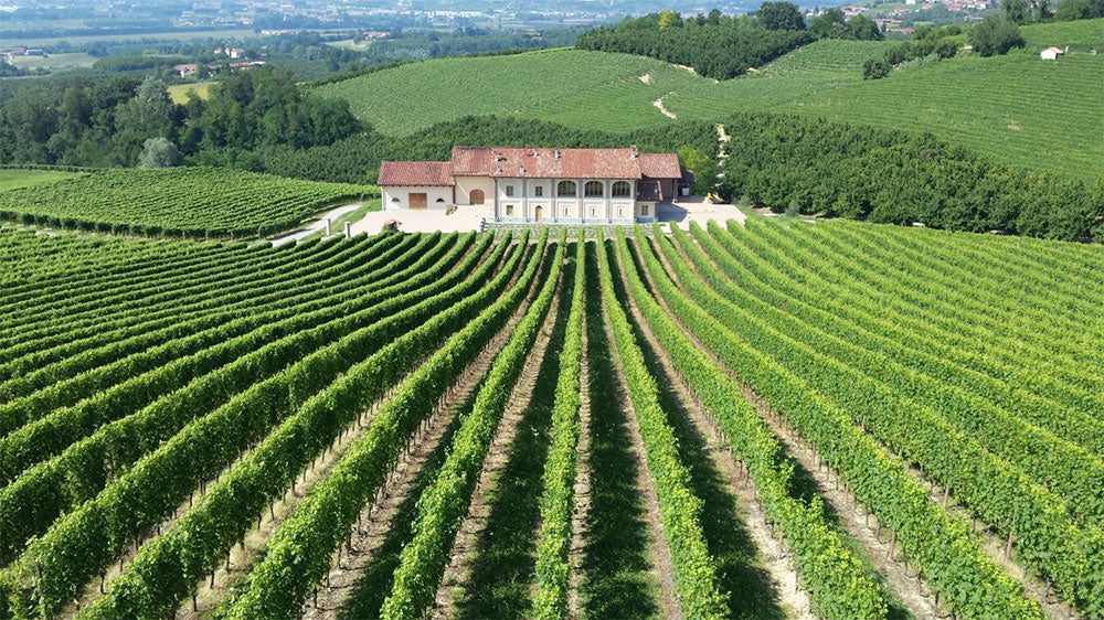 Tenuta Illuminata