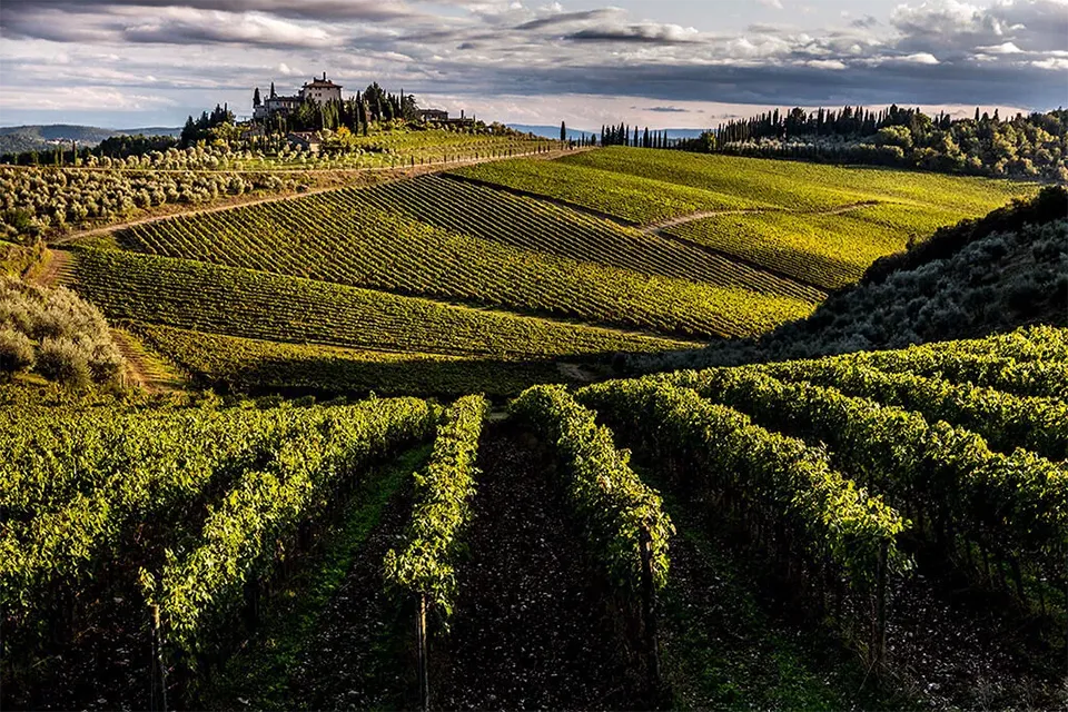 Tenuta Perano - Frescobaldi