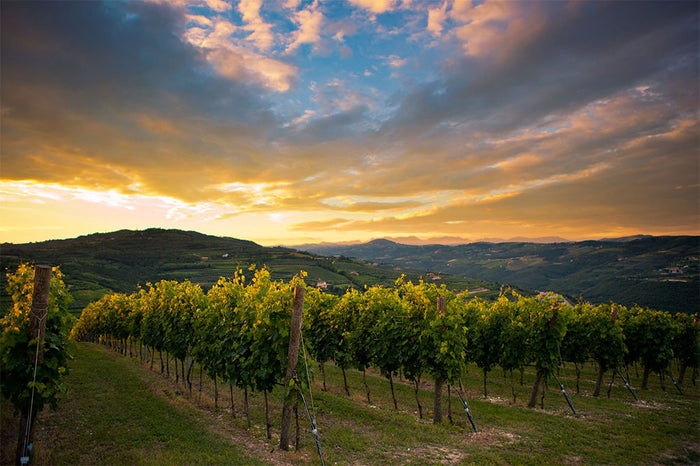 Tenuta Sant'Antonio