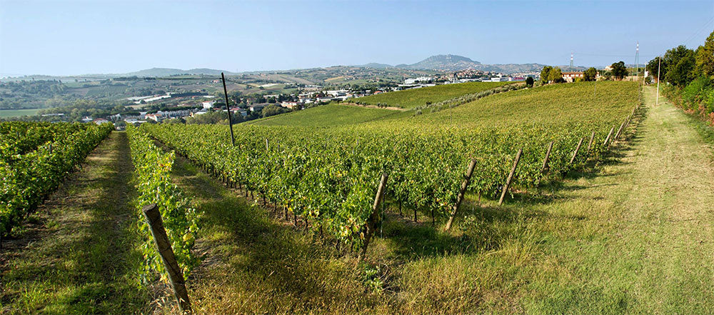 Tenuta Sant'Aquilina
