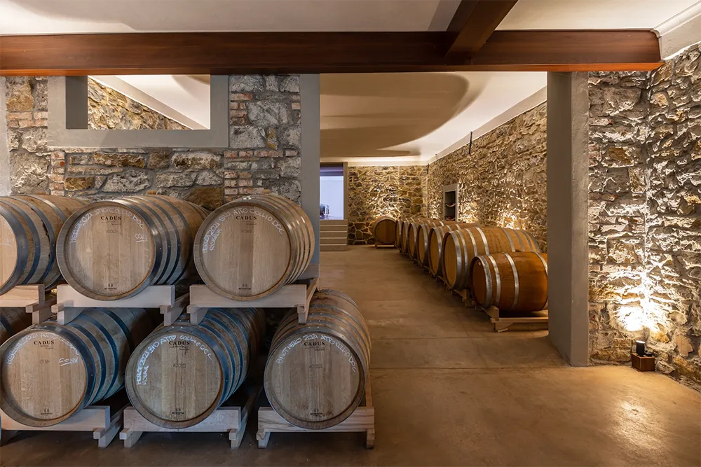 Tenuta Stella