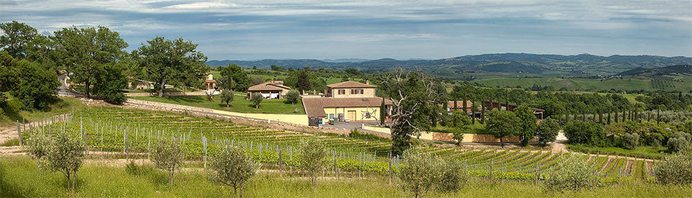 Terenzi