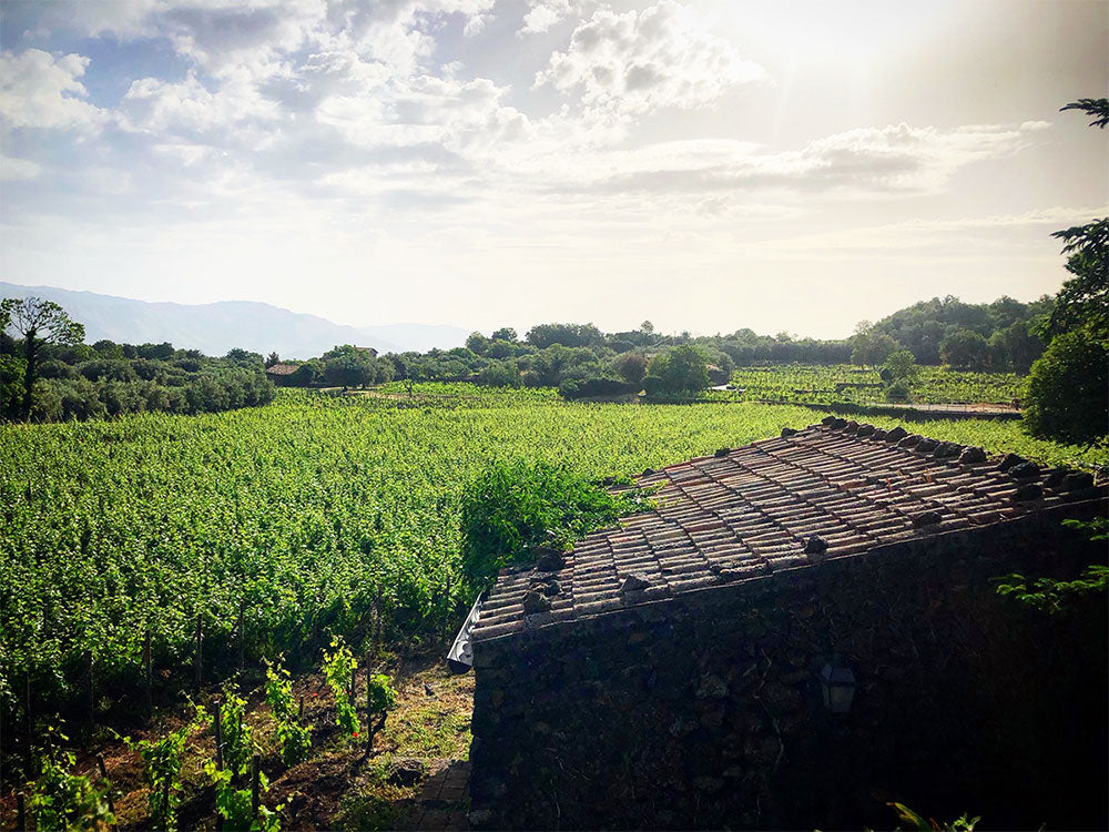 Terrazze dell'Etna