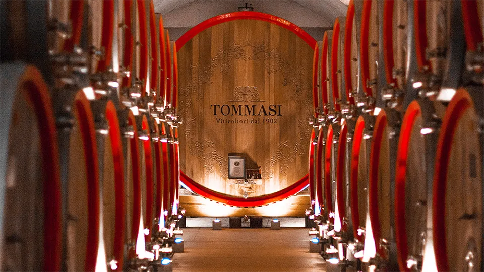 Tommasi