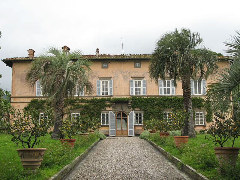 Valgiano