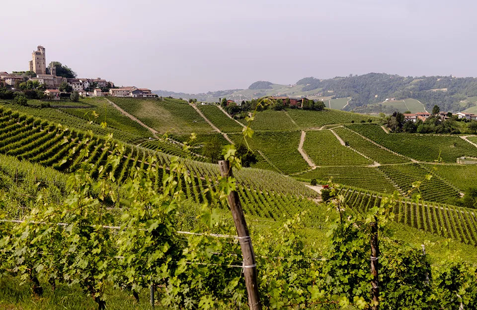 Vietti