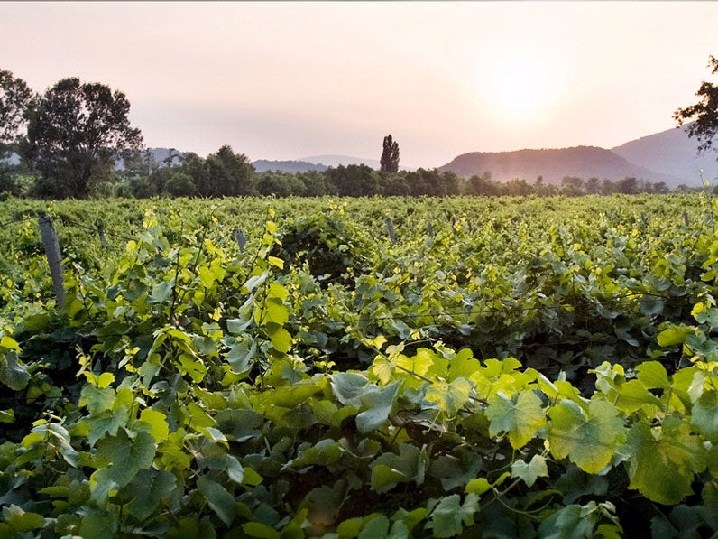 Villa Franciacorta