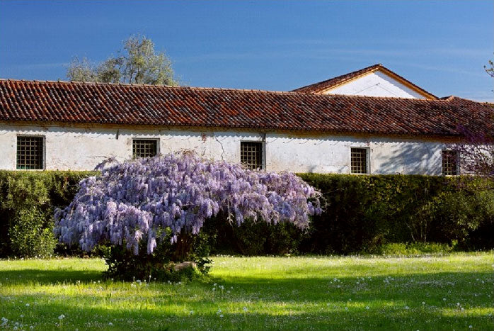 Villa Marcello