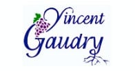 Vincent Gaudry