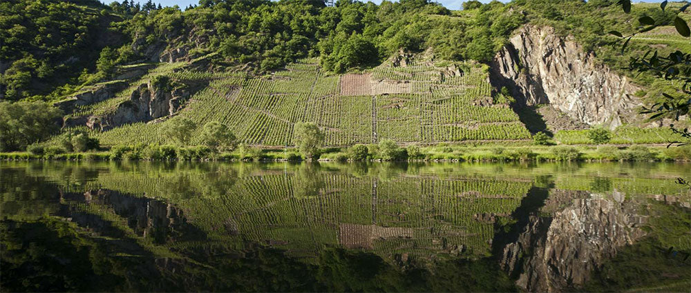 Weingut Clemens Busch